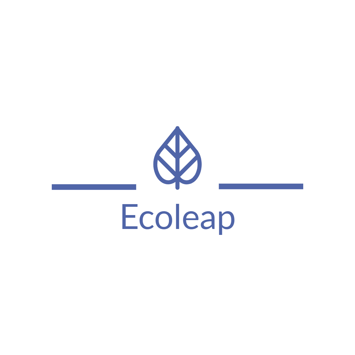 Ecoleap Digital